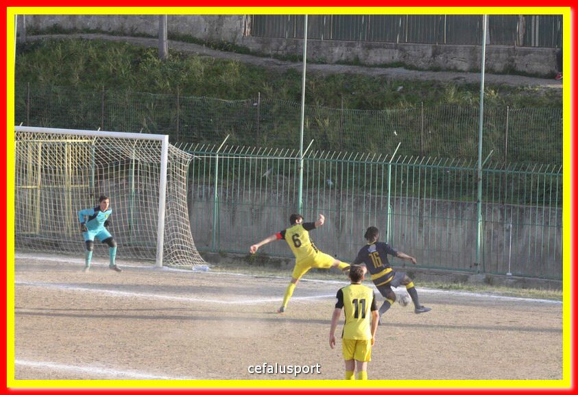 200301 Cepha_Mazara 150.jpg